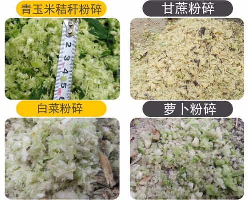 小型牧草切草機(jī) 多功能家用鍘草機(jī)與玉米秸稈揉絲機(jī)報(bào)價(jià)指南