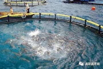 水產(chǎn)養(yǎng)殖技術(shù)、專業(yè)介紹及就業(yè)前景分析
