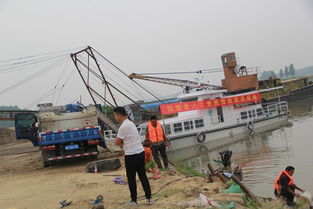 固鎮(zhèn)縣畜牧獸醫(yī)水產局積極開展?jié)O業(yè)資源增殖人工放流活動 助力畜牧漁業(yè)飼料銷售新篇章