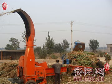 搶抓農時促轉化，市畜牧局多措并舉推廣秸稈青貯飼料助力畜牧漁業(yè)降本增效