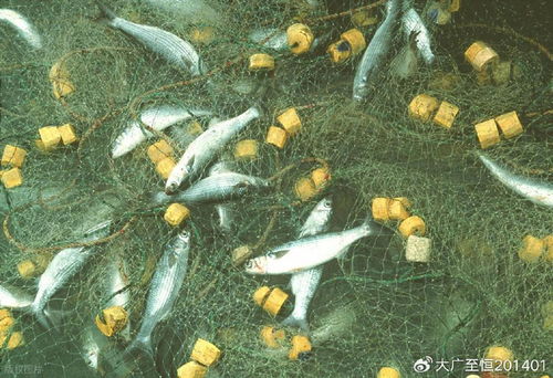 AquaTech 2026 馬來西亞漁業(yè)展覽會 領(lǐng)航漁業(yè)新紀(jì)元，驅(qū)動畜牧漁業(yè)飼料銷售創(chuàng)新